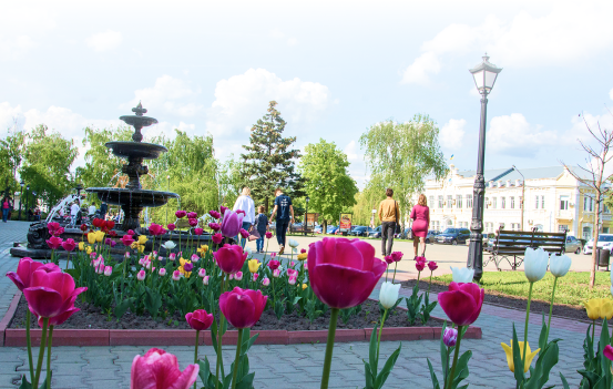 «Чудове місто Миргород»