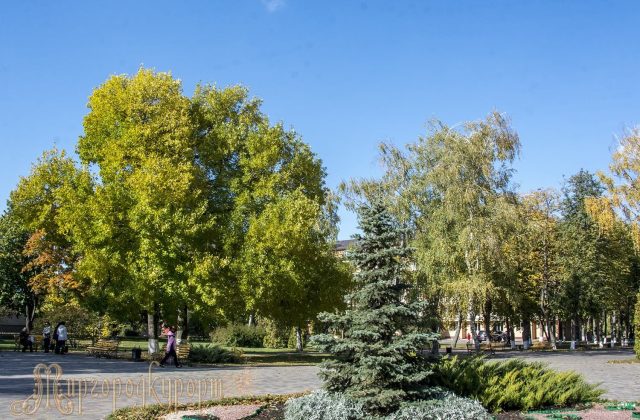 Курортний парк