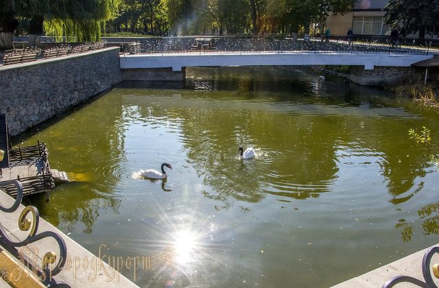 Ставок із фонтаном