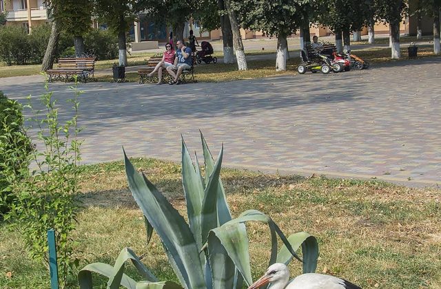 Квітник у курортному парку