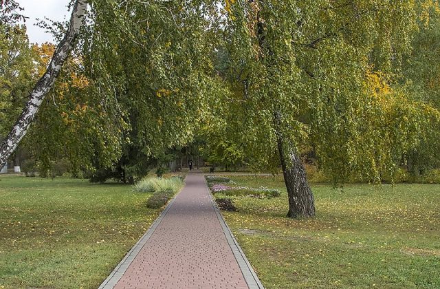 Доріжка в курортному парку