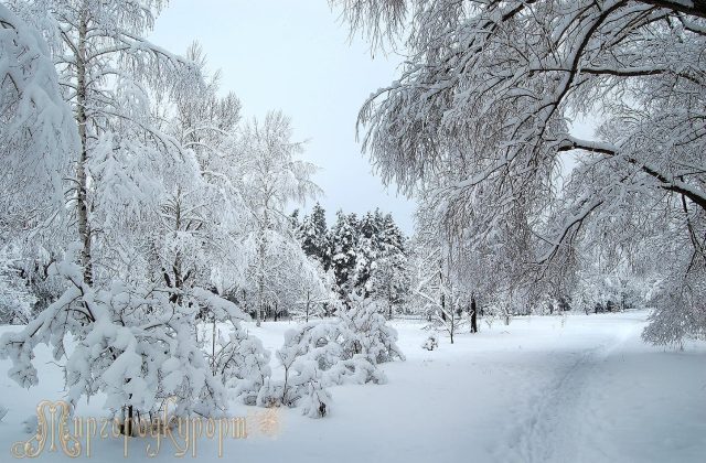 Курортний парк узимку