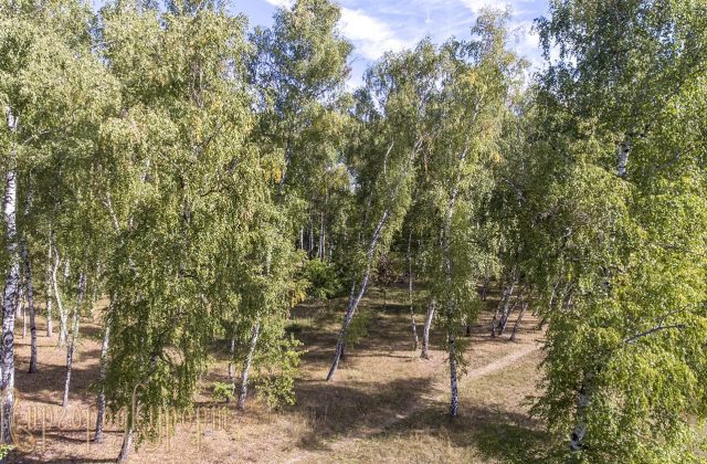 Курортний парк