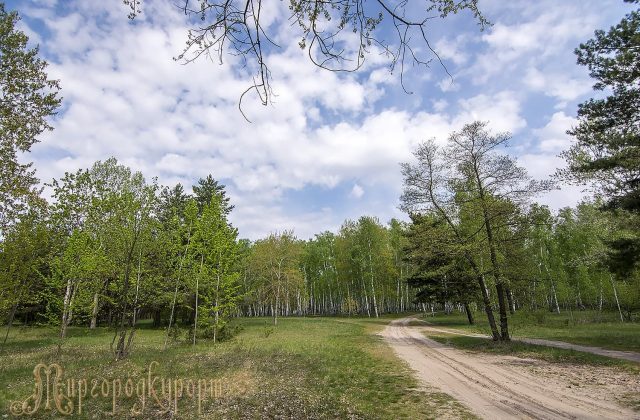 Курортний парк