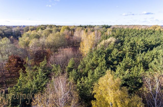 Осінь у курортному парку