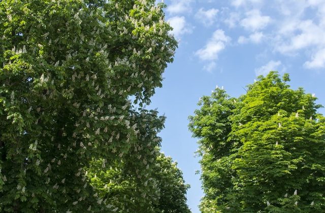 Вулиця біля курорту