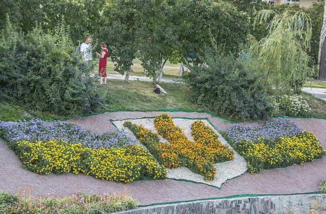 Квіткова композиція