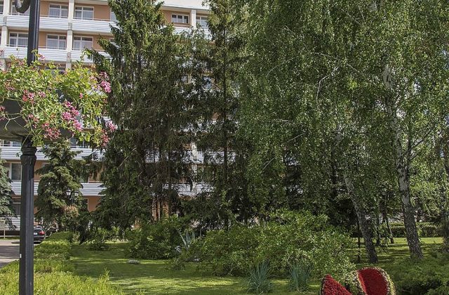 Ліхтар і алея парку