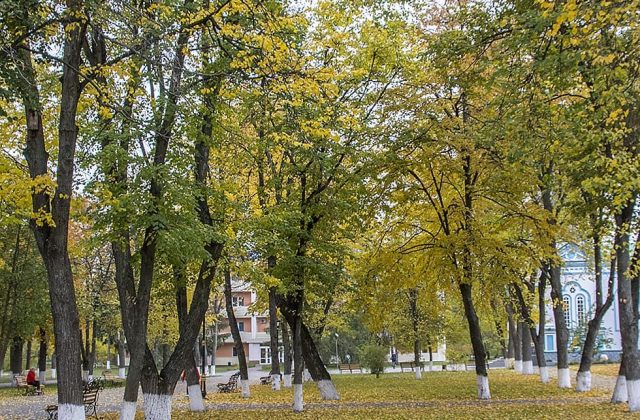 Осінь у курортному парку