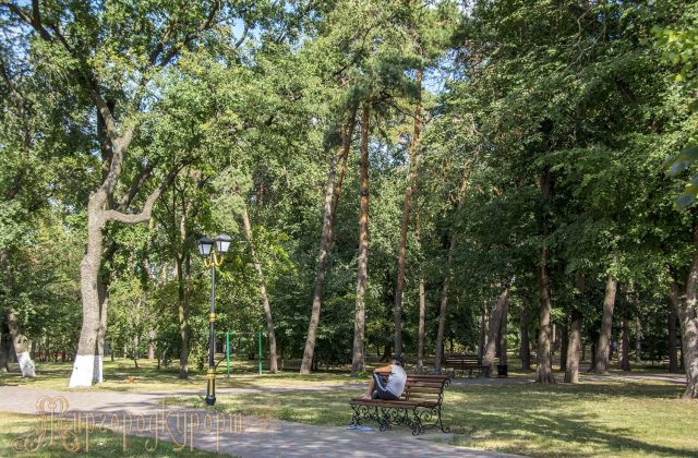 Курортний парк