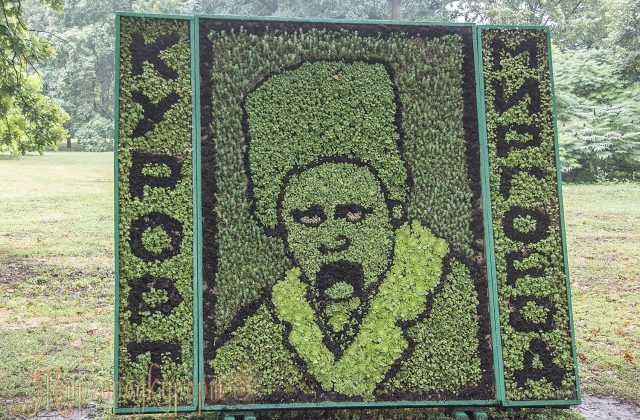 Квіткове панно «Курорт Миргород»