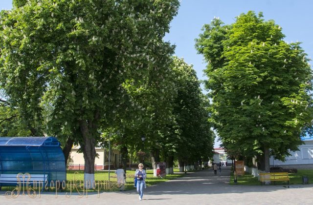 Алея й корпус курорту