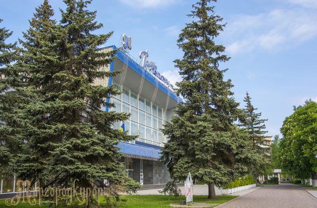 Ялини курортного парку