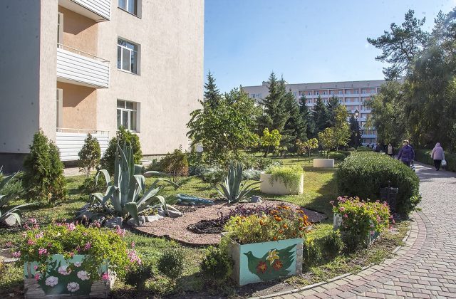 Корпус санаторію й туї