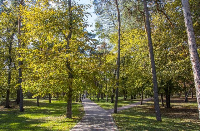 Парк біля санаторію